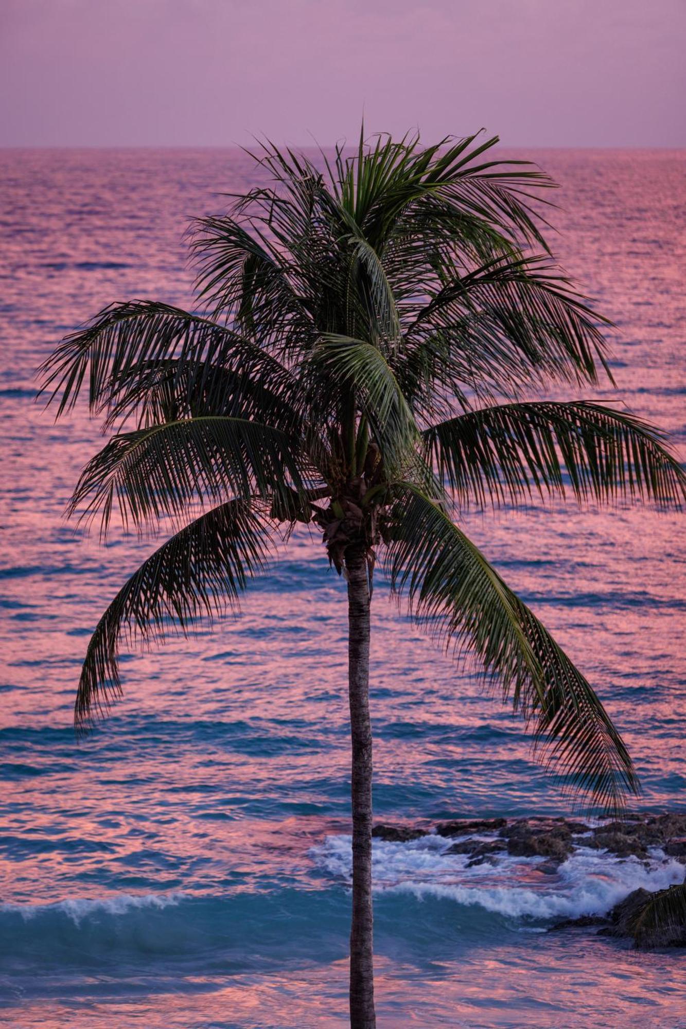 Sandals Barbados All Inclusive - Couples Only (Adults Only) Christchurch Exterior foto